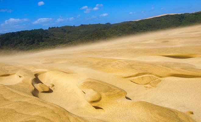 Door de ontbossing heeft de noordpunt van Northland grote duinen en lijkt op een woestijn. U kunt de duinen beklimmen en ze rijden op surfplanken.