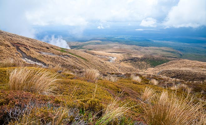 Ketetahi's warmwaterbronnen bevinden zich op heilige grond, het is niet toegestaan ​​ze te benaderen. In feite vindt dit deel van de reis plaats op Maori grondgebied, waarvan de toegang alleen wordt geduld.