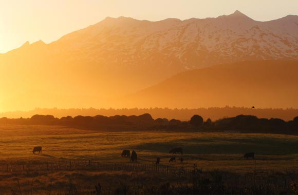 Men heeft de mogelijkheid om te vergeten dat de Tongariro zich in een nationaal park bevindt. Ik hoop dat u de kans krijgt om de zonsondergang over de vallei te bewonderen!