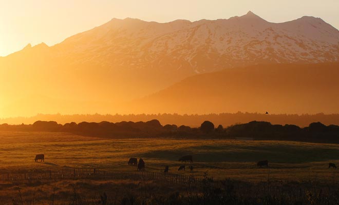 Men heeft de mogelijkheid om te vergeten dat de Tongariro zich in een nationaal park bevindt. Ik hoop dat u de kans krijgt om de zonsondergang over de vallei te bewonderen!