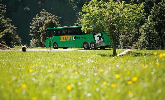 L'autobus non è il modo più veloce di trasporto, ma l'ampia rete consente di viaggiare ovunque nel paese. Ma questo non è il modo più economico.