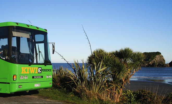 La rete di autobus della Nuova Zelanda copre l'intero Paese. Contrariamente alla credenza popolare, l'allenatore non è particolarmente economico e solo una carta fedeltà può aiutarti a risparmiare denaro. Ma dovrai ancora fare un minimo di viaggi durante l'anno.