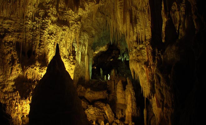 Le Grotte di Glowworm hanno una parte originale che è stata soprannominata