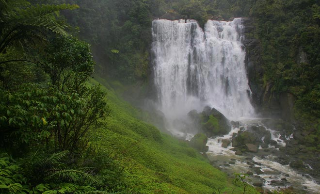 Se si prevede di visitare le grotte di Waitomo o meno, prendere in considerazione una deviazione per ammirare le cascate di Marakopa.