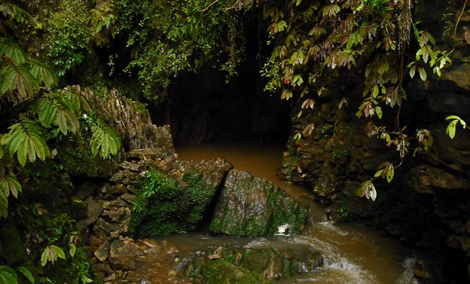 Il fiume di Ruakuri scompare in metropolitana dove attraversa le grotte prima di tornare in superficie.