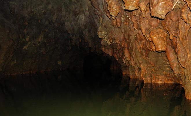 Il fiume sotterraneo delle grotte di Glowworms passa attraverso grotte piene di glowworms prima di raggiungere la superficie all'aperto.