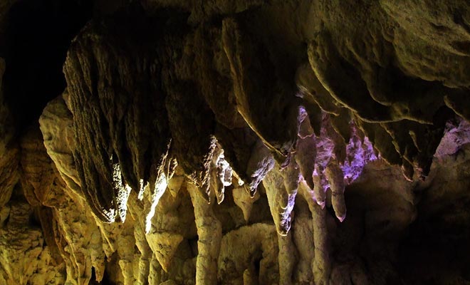 Ci sono centinaia di stalattiti che coprono il soffitto delle grotte.