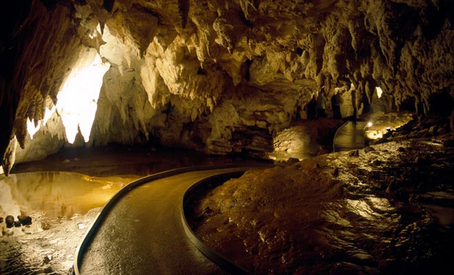 De Waitomo Caves worden bezocht met een gids en u ziet gloeienwormen die op het plafond schijnen.