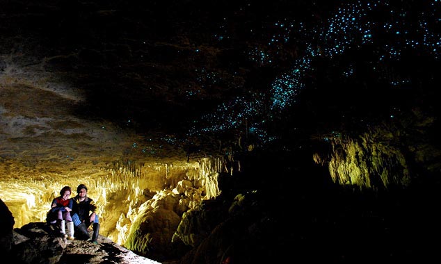 I viaggiatori visitano le grotte di Waitomo illuminate da glowworms.