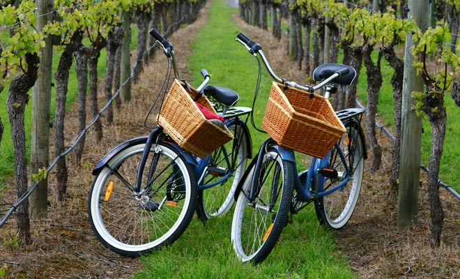 Ci sono tavoli da pic-nic presso il Rippon Vineyard e potete ordinare piatti di formaggio con una buona bottiglia in loco.