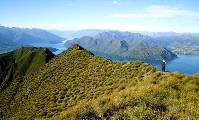 Quando pensi alla Nuova Zelanda, puoi immaginare paesaggi epici come quelli del Signore degli Anelli. Wanaka nella regione di Otago centrale corrisponde alle aspettative dei viaggiatori.