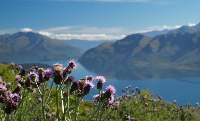 Tutta l'area era coperta da ghiacciai. Nel corso dei millenni hanno scolpito le montagne e hanno dato origine al lago.