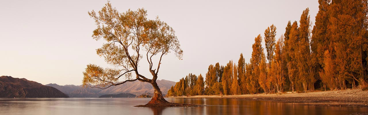 Wanaka è una città di Otago famosa per i suoi paesaggi.