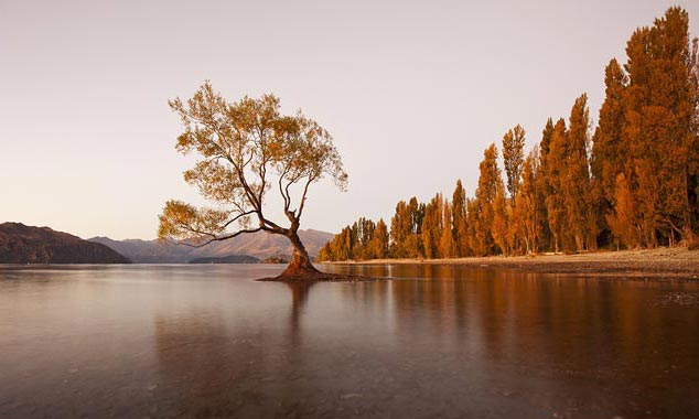 Wanaka è una città di Otago famosa per i suoi paesaggi.