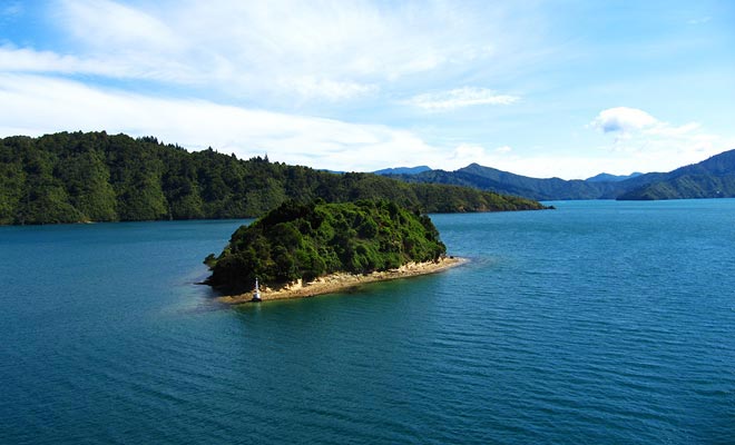 Ci vogliono tre ore per il traghetto di attraversare da Wellington (Isola del Nord) a Picton (Isola del Sud).