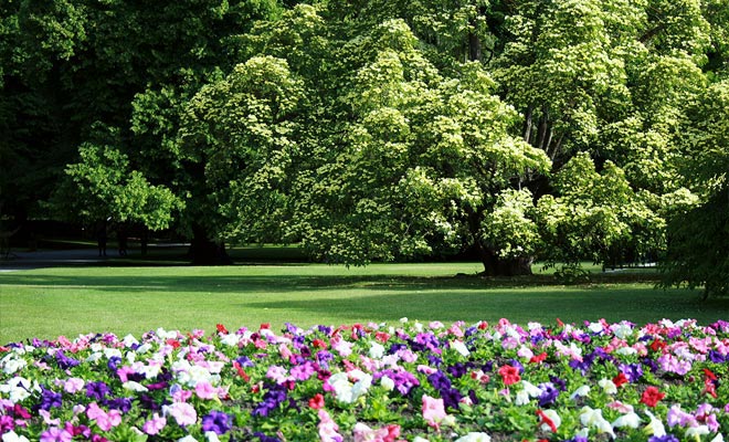 Il Jazz Festival e molte spettacoli si svolgono al Wellington Botanical Garden. Un grande spazio verde chiamato