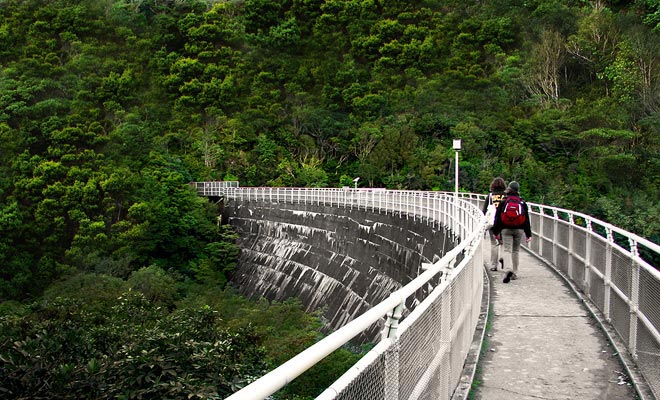 Il santuario di Karori di Zealandia è stato costruito nei vecchi serbatoi della città di Wellington. Tutto il posto è perfettamente isolato dal resto della città e ha anche un lago.