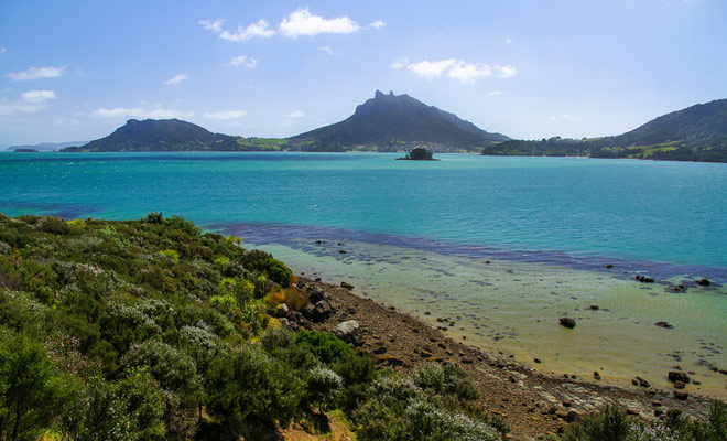 De Tutukaka Coast Drive is vol met kleine wonderen en u zult vaak de kans krijgen om te stoppen met originele foto's.