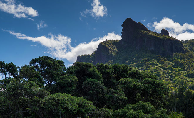 Op een hoogte van 403 meter was de berg Manaia bron tijdens de oude vulkanische uitbarsting, maar in de Maori-legende is het zowel een halve vis als een vogelmonster.