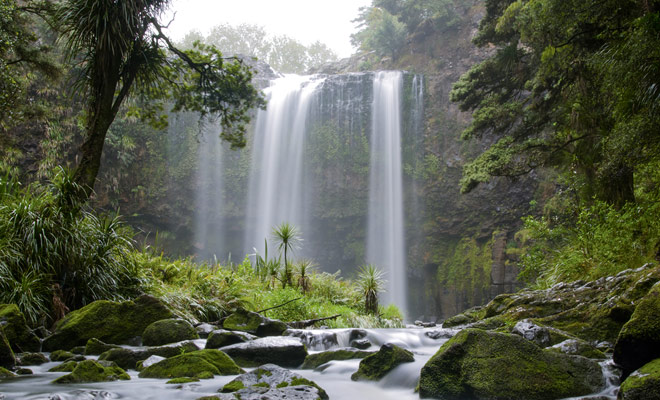 Onmogelijk om Whangarei en zijn regio te bezoeken zonder de beroemde valken met dezelfde naam te bezoeken. In het hart van het bos zijn de Whangarei Falls mooi, ongeacht het weer.