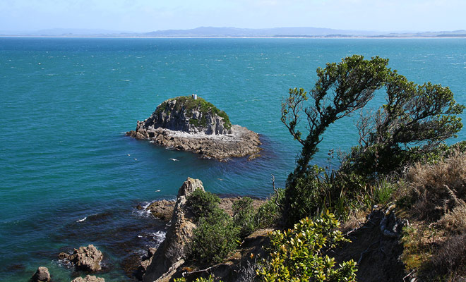 De kleine eilanden die u langs de Whangarei Heads Road kunt bewonderen, dragen leuke namen zoals Limestone Island, Rat Island of Rabbit Island.