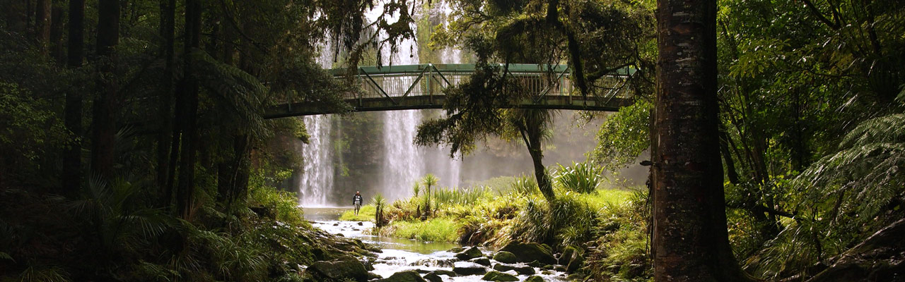 Whangarei Falls in Northland