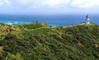 Om naar de Cape Reinga te komen, kunt u op het strand rijden of een binnenweg nemen.