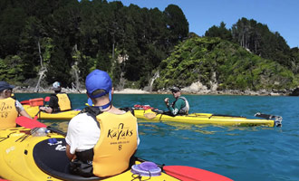 Prenda una lezione di kayak in Abel Tasman Park.