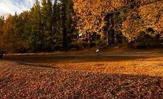 Herfst is een zeer interessant seizoen voor de reizigers, omdat de prijzen naar beneden worden herzien, terwijl het landschap fantastisch blijft