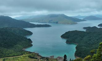 Numerose specie endemiche come kiwi, weka o tekapo rendono la Nuova Zelanda una destinazione preferita per gli amanti della natura.