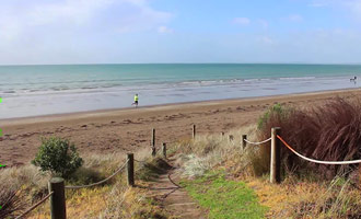 Un piccolo video che mostra le spiagge più belle dell'intera regione di Auckland.