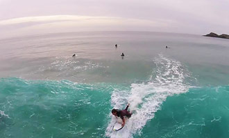 Soms komen de dolfijnen langs de surfers in Nieuw-Zeeland.