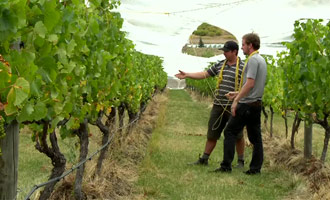 Non perdere questa grande notizia sui vini della Nuova Zelanda e la loro degustazione.