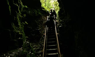 Cave World organiseert bezoeken van Ruakuri Cave en andere grotten in de omgeving.