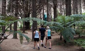 Introductie van het Adventure Forest