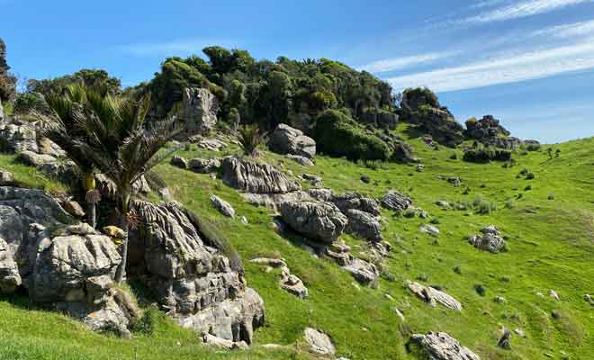 Collines de Te Hapu
