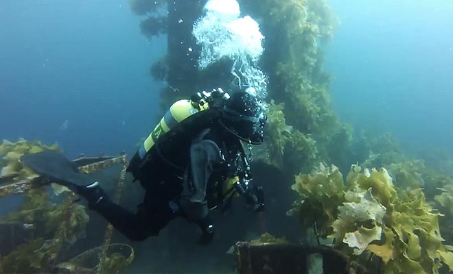 La plongée sur l'épave du Canterbury se déroule en compagnie de deux guides expérimentés.
