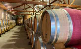 Dégustations de vins chez Cloudy Bay