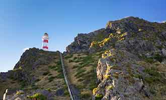 L'ascension jusqu'au phare