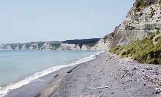 La plage et les falaises