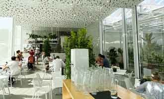 Ilex Café dans le Botanical Garden