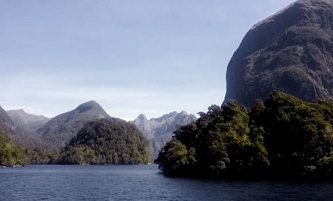 Il reste encore des dauphins dans le fiord, même si leur nombre est en régression.