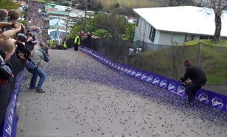 La foule scande le décompte puis les milliers de bonbons dévalent la rue jusqu'en bas. Les trois premières boules arrivées sont déclarées gagnantes.