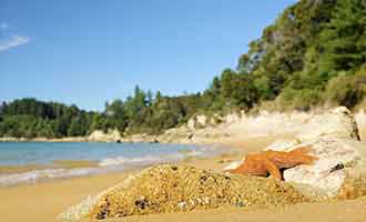 Survol de Golden Bay