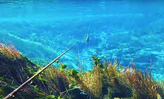 Pupu Springs sous la surface