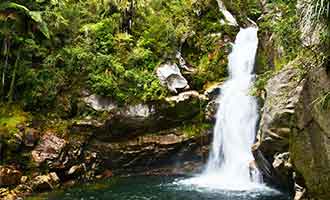 Randonnée Wainui Falls Track