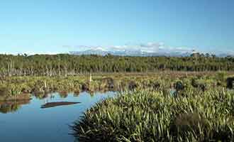 Découverte du lac Mahinapua