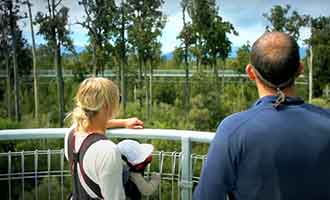 Visite de Treetop Walkway