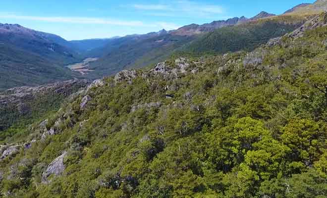 Kahurangi National Park