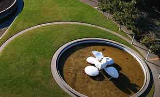 Survol de Napier en drone